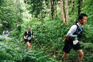 BIB: 
                            <button type="button" onclick="openModal(26393808)" class="btn btn-primary btn-sm float-right btn-popup" data-toggle="modal" data-target=".modal-high-quality">
                        <i class="fas fa-shopping-cart"></i> Add to Cart
                    </button>
                                            <button type="button" onclick="isThisMe(26393808, true)" class="btn btn-success btn-sm float-right btn-popup btn-isme hidden" data-toggle="tooltip" data-placement="bottom" title="นี่คือรูปของคุณใช่ไหม คลิกที่นี่เพื่อเอาเข้าอัลบั้ม">
                        <i class="fas fa-plus"></i> Add to album
                    </button>
                    <button type="button" onclick="isThisMe(26393808, false)" class="btn btn-warning btn-sm float-right btn-popup btn-isnotme hidden">
                        <i class="fas fa-ban"></i> Remove from album
                    </button>